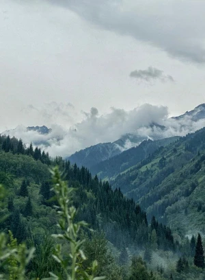 Ich werde das Grundstück im Nationalpark Ila-Alataus verkaufen. - 660663 - Foto 2 (mini)