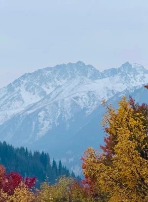 Ich werde das Grundstück im Nationalpark Ila-Alataus verkaufen. - 660663 - Foto 3 (mini)