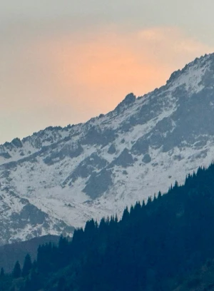 Ich werde das Grundstück im Nationalpark Ila-Alataus verkaufen. - 660663 - Foto 4 (mini)