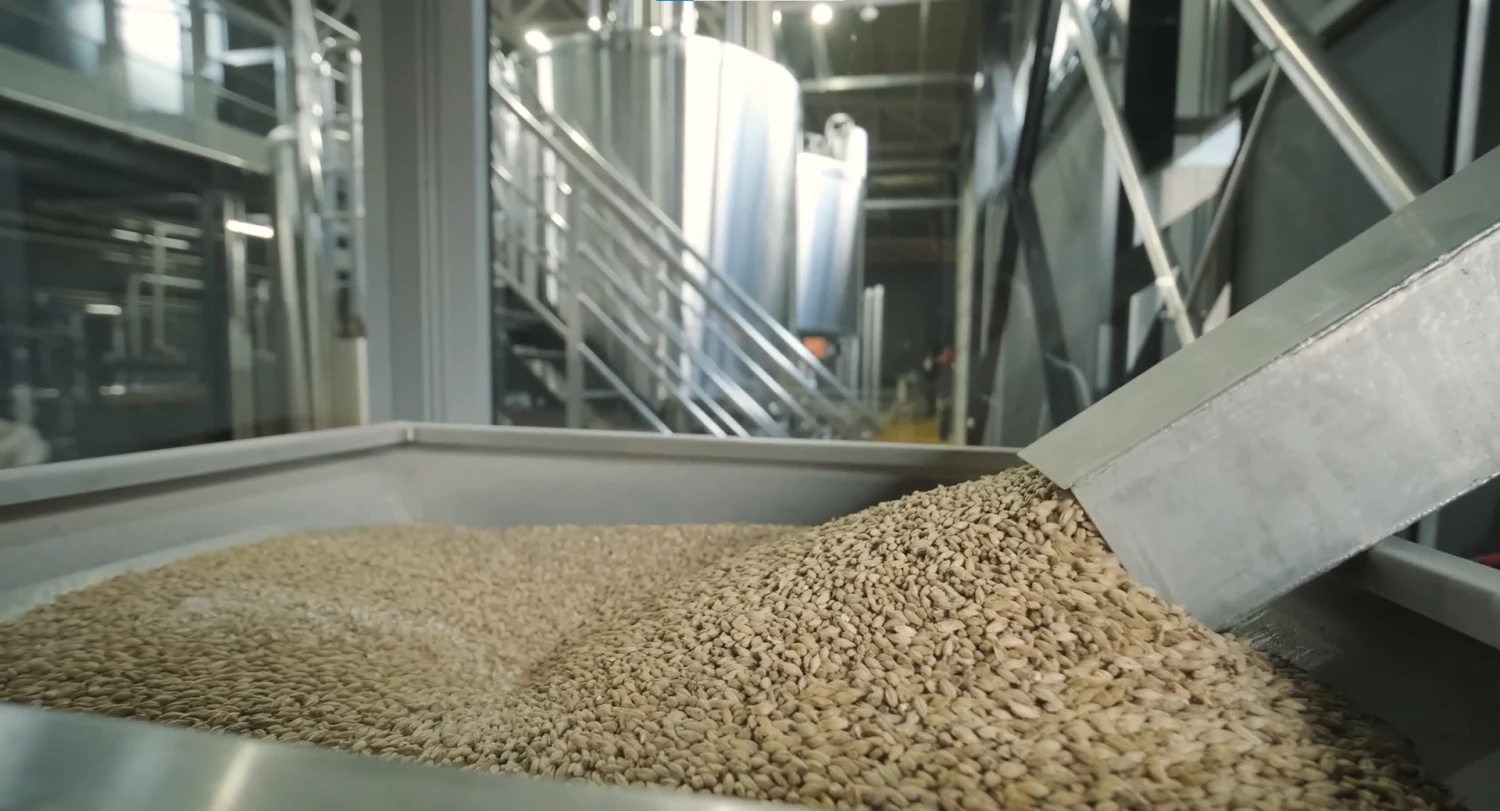 Selected grain for flour production - photo - ID97