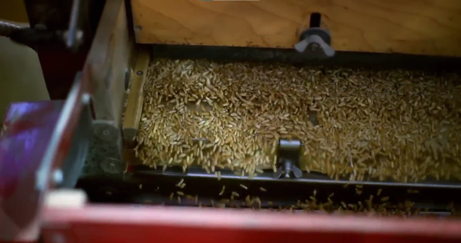 Modern grain processing technologies - photo - ID98
