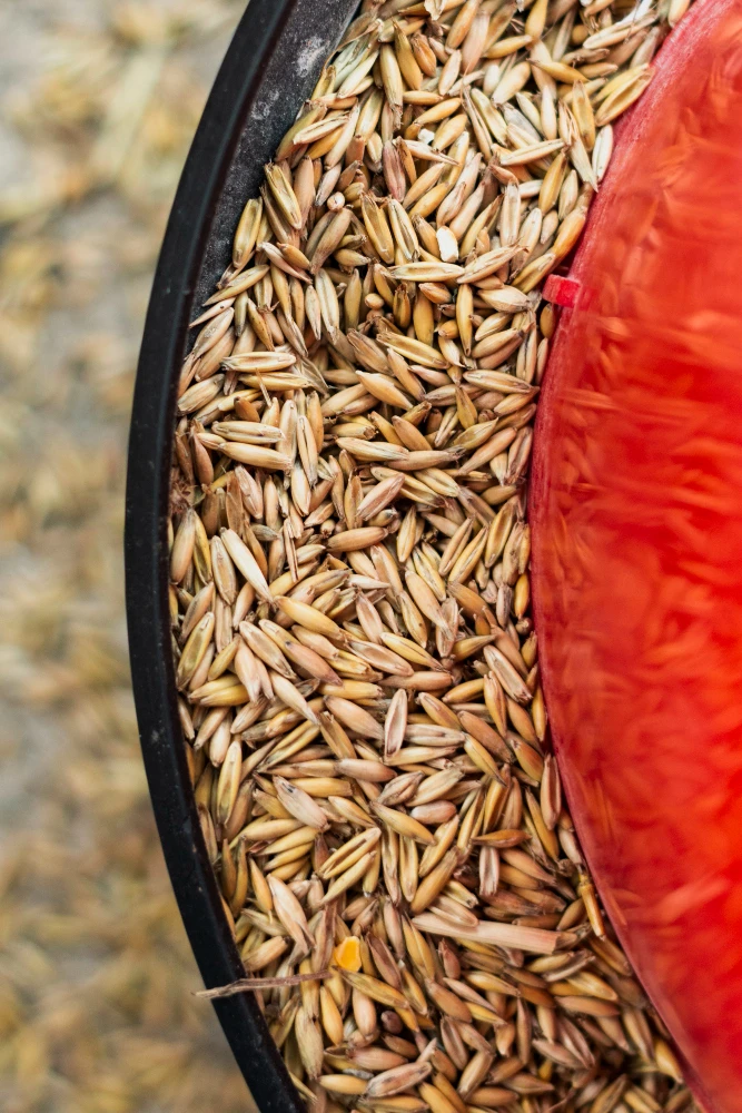 Production of feed products - photo - ID103