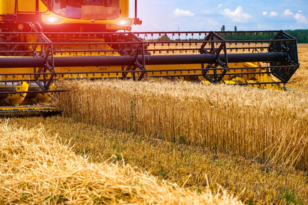 Leave a request for the supply of wheat flour
