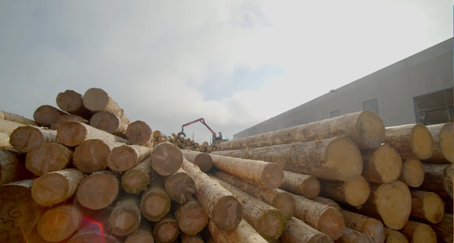 Suministro integral de madera - 132