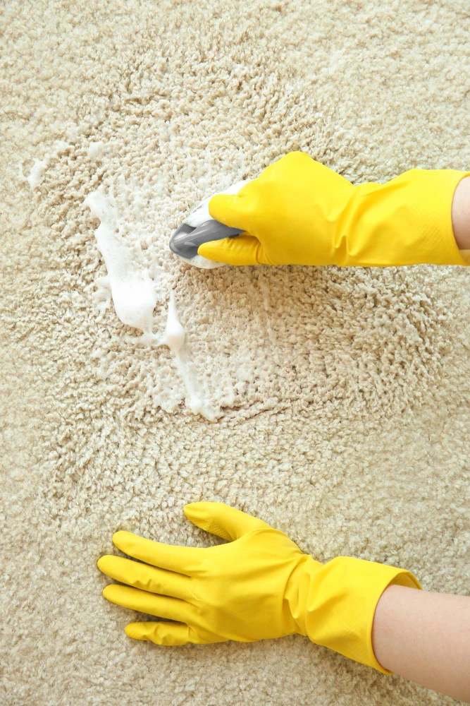 Кілемге арналған сусабындар - 194