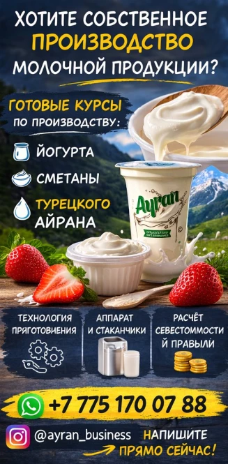Дайын кілт бизнесі: йогурт, қаймақ және түрік айранын өндіру! - 2212 - фото 2