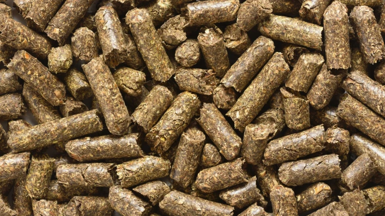 苜蓿颗粒 - 2370 - 照片 2