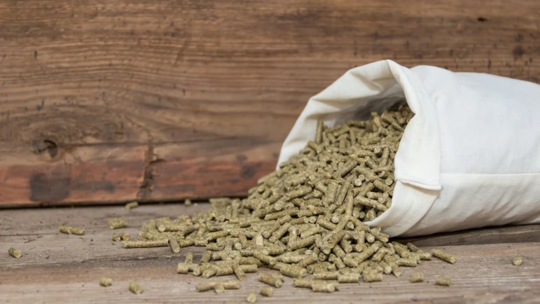 苜蓿颗粒 - 2370 - 照片 5