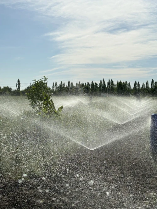 Автоматическая система полива газона в Алматы и Алматинской области - 2381 - фото 1