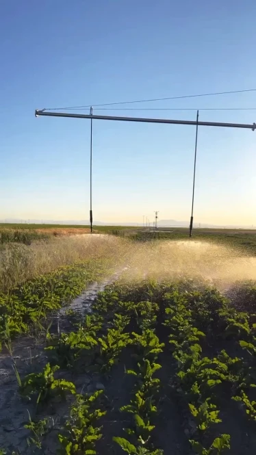 Автоматическая система полива газона в Алматы и Алматинской области - 2381 - фото 4