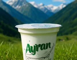 Дайын кілт бизнесі: йогурт, қаймақ және түрік айранын өндіру! - 660271 - фото 4 (mini)