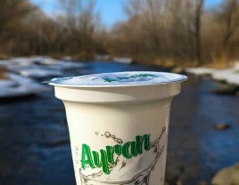 Дайын кілт бизнесі: йогурт, қаймақ және түрік айранын өндіру! - 660271 - фото 6 (mini)