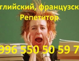 Teacher English and French language teacher tutor - 660310 - photo 1 (mini)