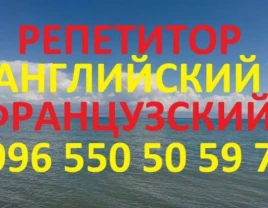 English and French language teacher tutor teacher - 660311 - photo 1 (mini)