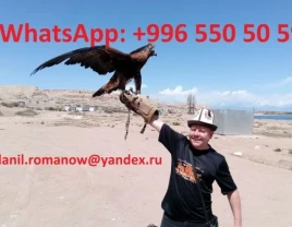 Travel in Kyrgyzstan, tourism, excursions, guide, hiking in mountains, driver - 660314 - photo 1 (mini)