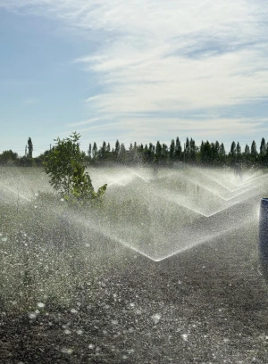 Автоматическая система полива газона в Алматы и Алматинской области - 660440 - фото 1 (mini)