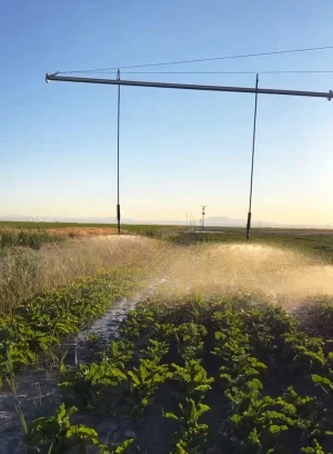 Автоматическая система полива газона в Алматы и Алматинской области - 660440 - фото 4 (mini)